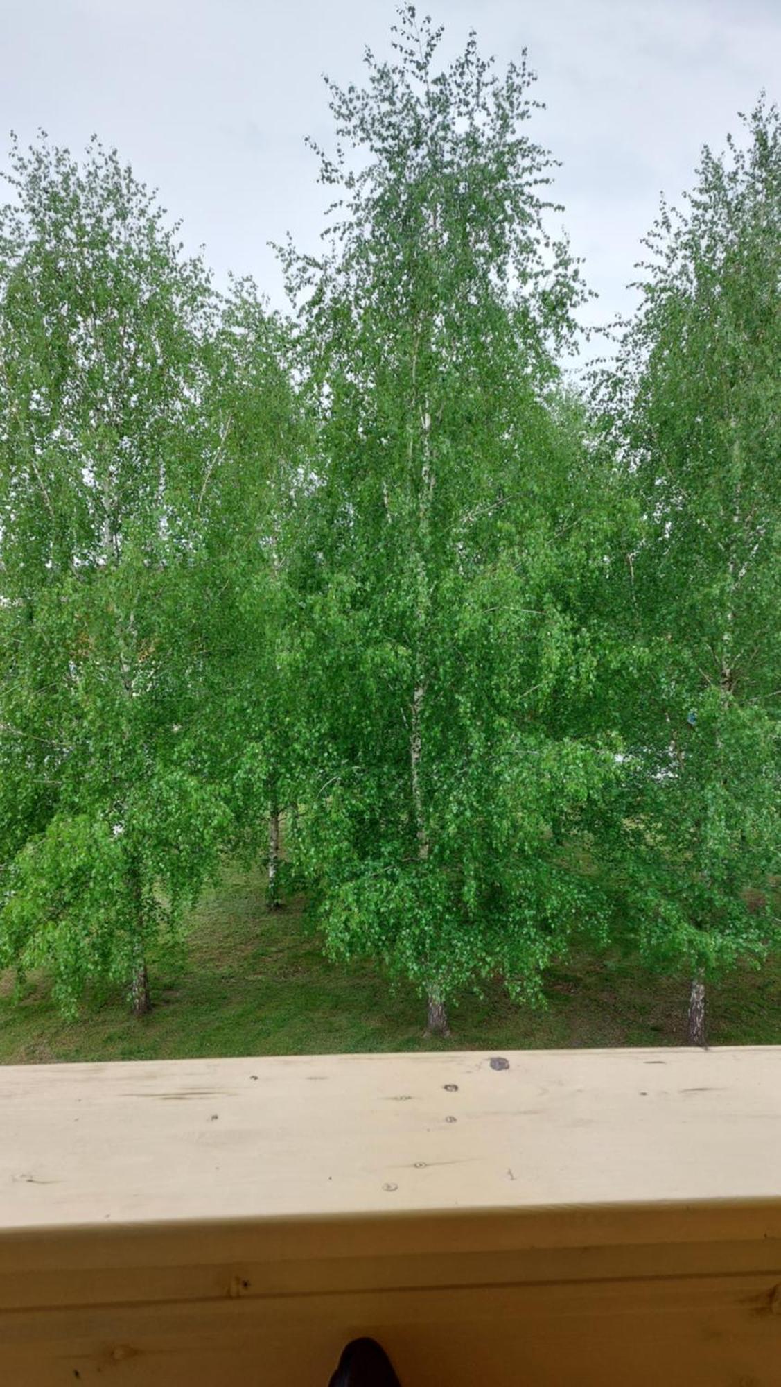 Apartamentai Gertruda Druskininkai Luaran gambar